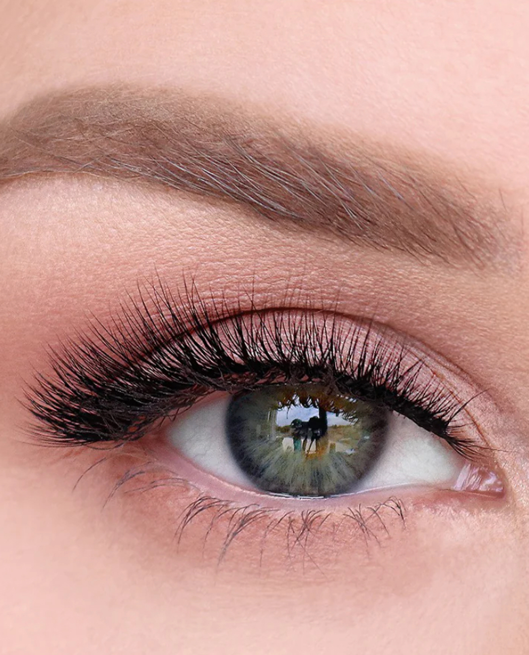 Lashes